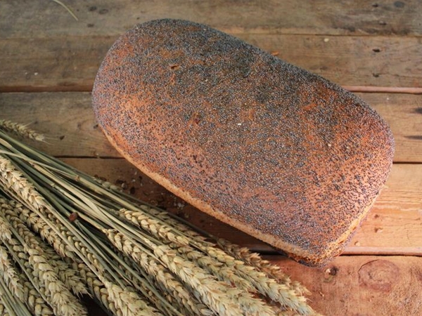 Bruin Vloer Maanzaad