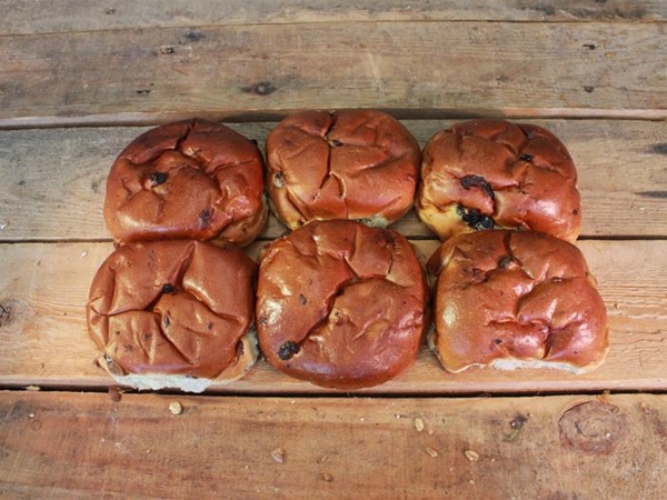 Kadet Krent&nbsp;per 6 verpakt